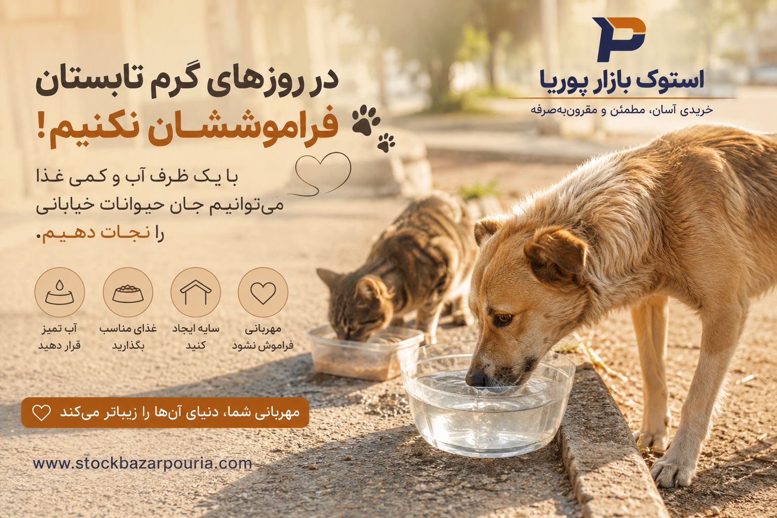 چگونه در روزهای گرم تابستان به حیوانات خیابانی کمک کنیم؟ راهکارهای ساده اما مؤثر