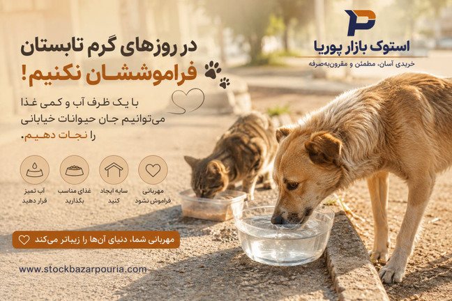 چگونه در روزهای گرم تابستان به حیوانات خیابانی کمک کنیم؟ راهکارهای ساده اما مؤثر
