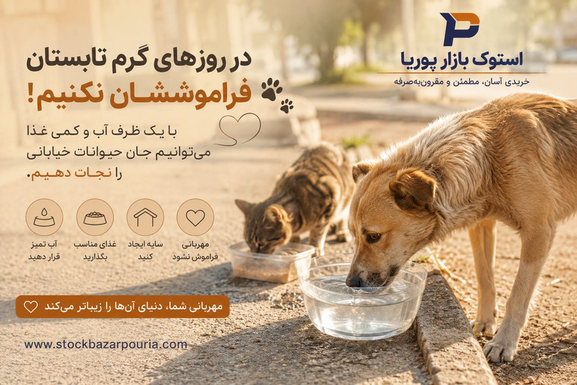 چگونه در روزهای گرم تابستان به حیوانات خیابانی کمک کنیم؟ راهکارهای ساده اما مؤثر