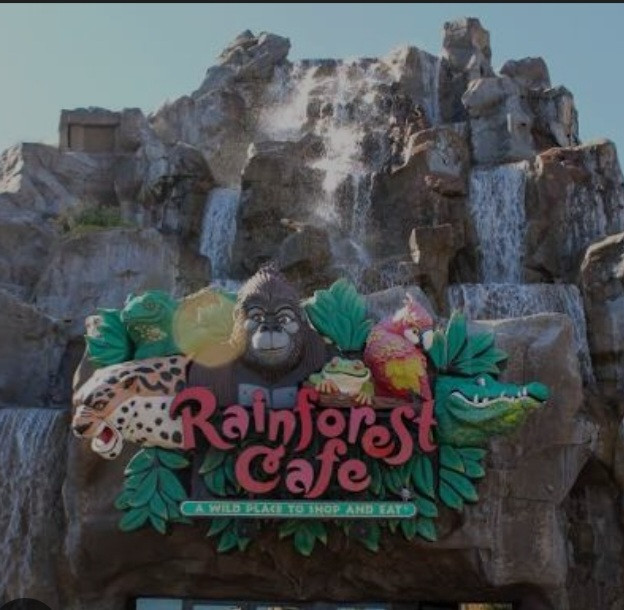 تی شرت مردانه برند راینفورست کافه RAINFOREST COFE استوک اورجینال رنگ آبی